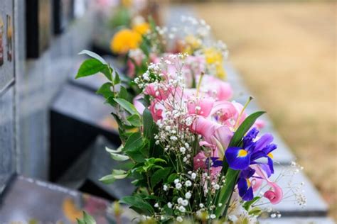 桃花 風水|桃花風水やお墓参りが最強の運気を呼ぶ？花で幸運をもたらす3。